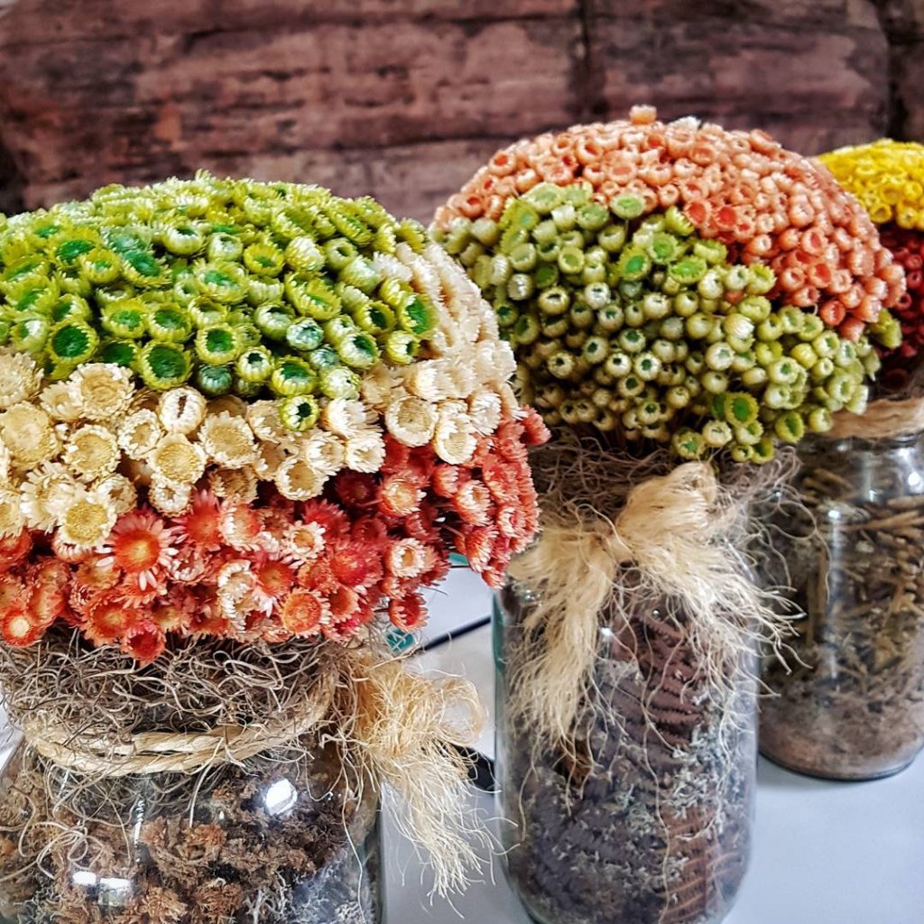 Foto: Reprodução Flickr / Rita Barreto / Setur